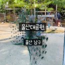 관리가 잘 되어 있는 울산대공원 장미원, 동물원 방문 후기