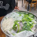 속초아침맛집, 대포항근처 해장으로도 좋은 속초생대구 맛집 속초맛생대구 방문기