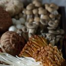 슬로우팜 이미지