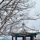 구정미곡처리장 이미지