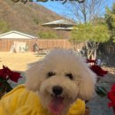 우월한 탄산 이미지