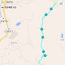 21.은행나무길(경제진흥원) 이미지