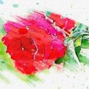 바른윤의원 이미지