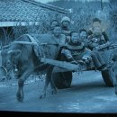 달구지 - 강동구 천중로 212 | 달구지
