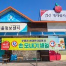 양산배내골 사과정보화마을 이미지