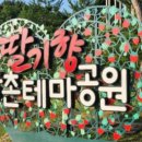 농촌테마공원2 이미지