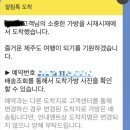 정직한여행