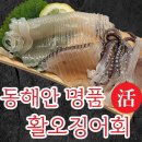 목동회수산 티스토리