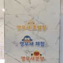 앵무새리프패럿롯데