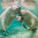 해우환경 이미지