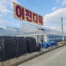 이진다육