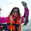 (주)황금바다 이미지