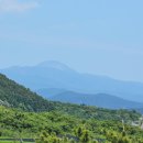 설록차전시관 이미지