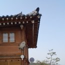 상지말주차장 | 금산 전원주택(한옥)