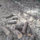 청아민박 이미지