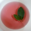 노천농장 이미지