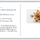 리치 프레쉬
