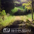 성산노인대학제주어합창단 창단 공연 | (강문칠 건강칼럼) 뇌경색을 이겨 내고..(3)