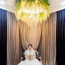 파라다이스회관 | 제주 비비드블랑 본식 후기 ⎜파라다이스 회관