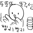 금성애견 이미지