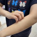 임마누엘온누리약국 이미지