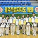 노형 특무관 이미지