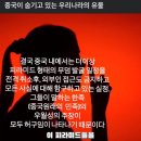 중국에 있다는 피라미드 중국내 발굴작업 중단한 경위 . 역사 외곡 진위여부는 미궁 상태 이미지