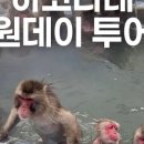 짬스네 스토어