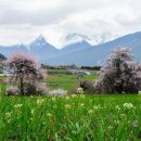 무릉도원 이미지