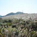 암곡마을회관 이미지