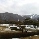 일오일 이미지