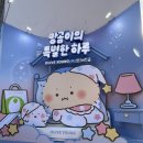 영라이프빌딩 | 방문만해도 본품 망그러진곰X 올리브영팝업 구성품/후기/혜택/웨이팅