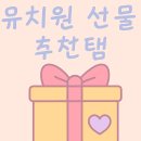 본유치원 | 직접 써본 유치원 선물 추천템! 내돈내산 후기