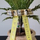주주공인중개사사무소 이미지