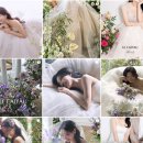 [W.studio]#03 가성비 플라워디렉팅 업체 추천/ 30만원대 플라워디렉팅