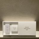 파라다이스 이미지