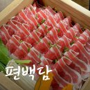 진주 경상대 편백찜 샤브샤브 맛집 편백담 가좌점 건강식 추천