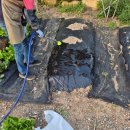 홈당골펜션 이미지