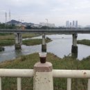 삼호교 화장실 이미지