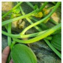 식이네농장 이미지