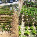 함께하는 농장 이미지