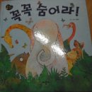 꼭꼭 숨어라 동물들아 이미지