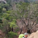 진관농장 이미지