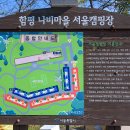 함평나비마을서울캠핑장 이미지
