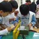 북삼초교 이미지