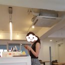 프롬제이제이 이미지