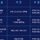 포이스포츠센터_ 방학특강_ 상급반_접영 후기