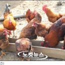 황등1농장 이미지