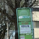 대일투어로 이미지