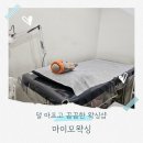마이모 이미지